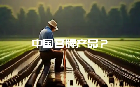 中国名牌产品？-会东网