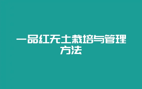 一品红无土栽培与管理方法-会东网