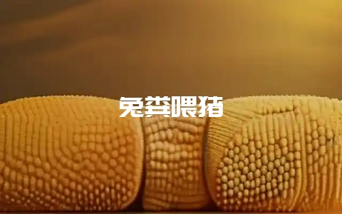 兔粪喂猪-会东网