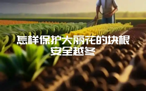 怎样保护大丽花的块根安全越冬-会东网