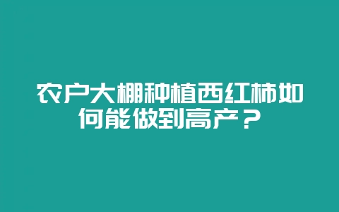 农户大棚种植西红柿如何能做到高产？-会东网
