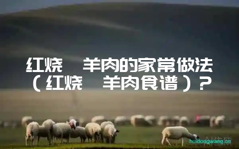 红烧炖羊肉的家常做法（红烧炖羊肉食谱）？-会东网