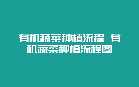 有机蔬菜种植流程 有机蔬菜种植流程图-会东网