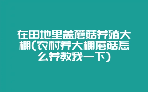 在田地里盖蘑菇养殖大棚(农村养大棚蘑菇怎么养教我一下)-会东网