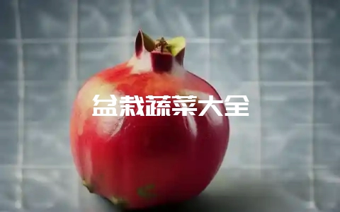 盆栽蔬菜大全插图 盆栽蔬菜大全插图