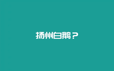 扬州白鹅？-会东网