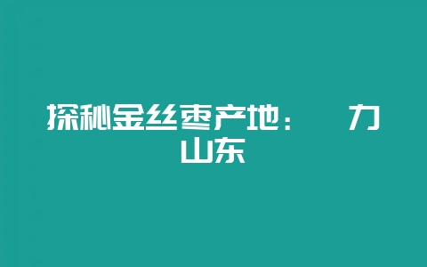 探秘金丝枣产地：魅力山东-会东网