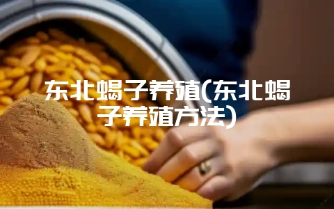 东北蝎子养殖(东北蝎子养殖方法)-会东网