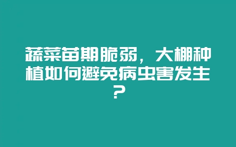 蔬菜苗期脆弱,大棚种植如何避免病虫害发生?插图 蔬菜苗期脆弱,大棚种植如何避免病虫害发生?插图