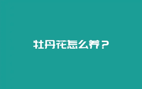 牡丹花怎么养?插图 牡丹花怎么养?插图