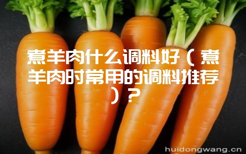 煮羊肉什么调料好（煮羊肉时常用的调料推荐）？-会东网