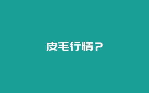皮毛行情？-会东网