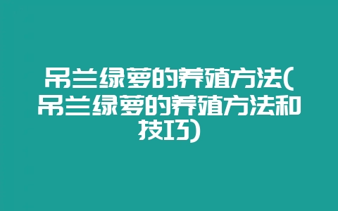吊兰绿萝的养殖方法(吊兰绿萝的养殖方法和技巧)-会东网