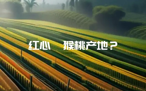 红心猕猴桃产地?插图 红心猕猴桃产地?插图