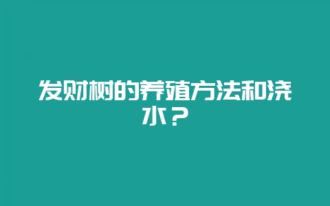 发财树的养殖方法和浇水？-会东网