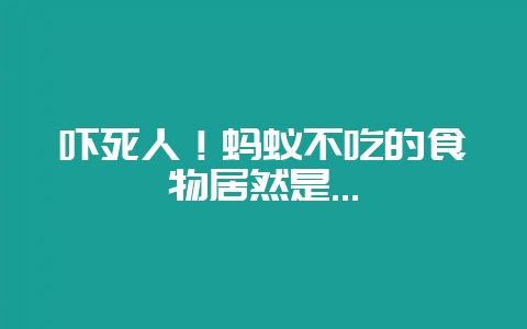 吓死人！蚂蚁不吃的食物居然是...-会东网