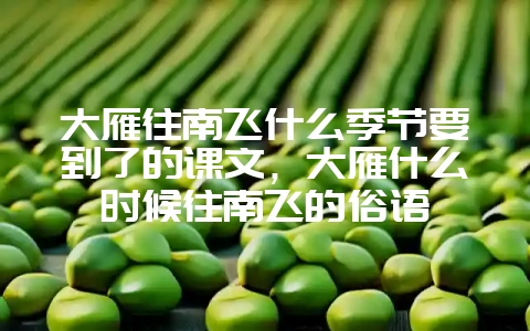 大雁往南飞什么季节要到了的课文，大雁什么时候往南飞的俗语-会东网