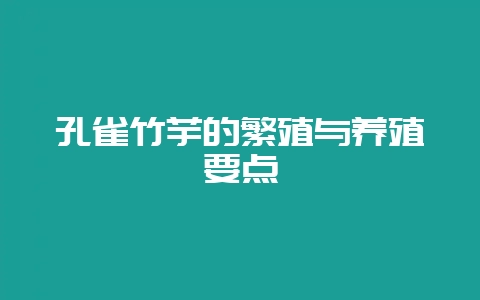 孔雀竹芋的繁殖与养殖要点-会东网