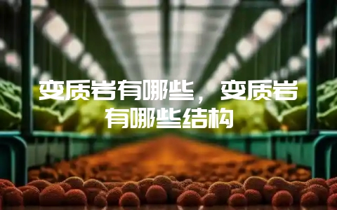变质岩有哪些，变质岩有哪些结构-会东网