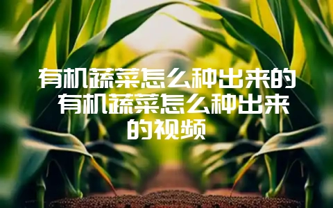 有机蔬菜怎么种出来的 有机蔬菜怎么种出来的视频插图 有机蔬菜怎么种出来的 有机蔬菜怎么种出来的视频插图