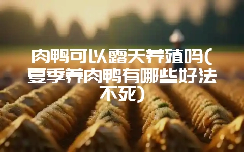 肉鸭可以露天养殖吗(夏季养肉鸭有哪些好法不死)插图 肉鸭可以露天养殖吗(夏季养肉鸭有哪些好法不死)插图