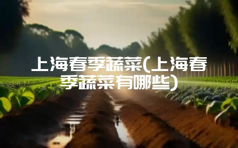 上海春季蔬菜(上海春季蔬菜有哪些)-会东网