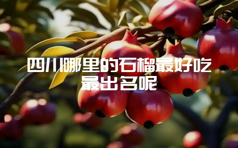 四川哪里的石榴最好吃最出名呢-会东网