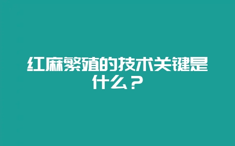 红麻繁殖的技术关键是什么？-会东网