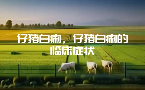 仔猪白痢，仔猪白痢的临床症状-会东网