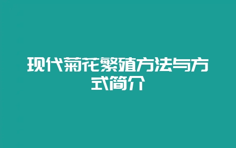 现代菊花繁殖方法与方式简介-会东网