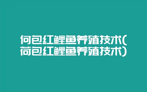 何包红鲤鱼养殖技术(荷包红鲤鱼养殖技术)-会东网