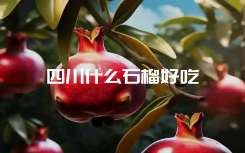 四川什么石榴好吃-会东网