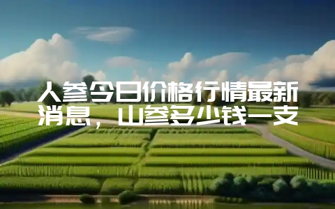 人参今日价格行情最新消息，山参多少钱一支-会东网