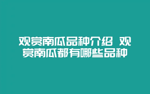 观赏南瓜品种介绍 观赏南瓜都有哪些品种-会东网