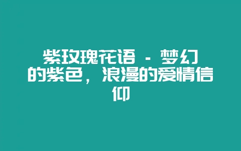 紫玫瑰花语 – 梦幻的紫色,浪漫的爱情信仰插图 紫玫瑰花语 – 梦幻的紫色,浪漫的爱情信仰插图