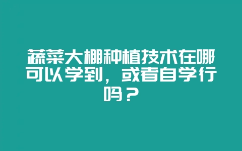 蔬菜大棚种植技术在哪可以学到，或者自学行吗？-会东网