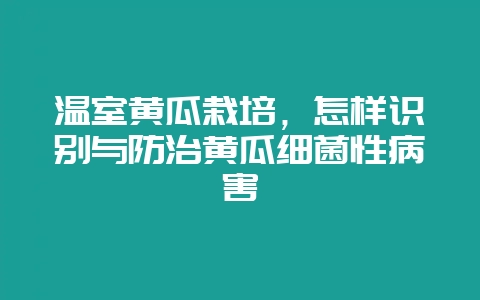 温室黄瓜栽培，怎样识别与防治黄瓜细菌性病害-会东网