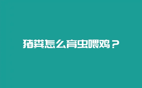 猪粪怎么育虫喂鸡？-会东网