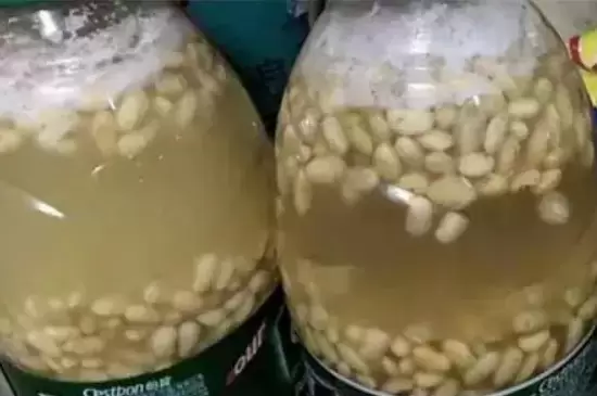 豆腐水可以浇花吗插图2