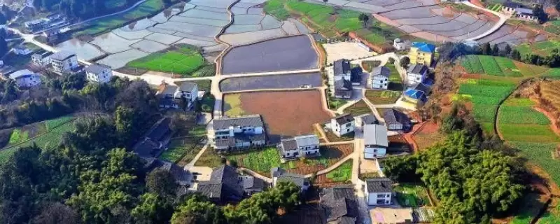 农村创业有哪些方面的优势，了解后你还会抱怨吗插图