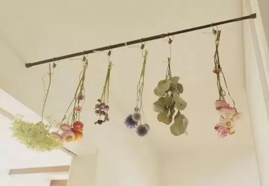 哪些花可以做干花,干花的制作方法插图2 哪些花可以做干花,干花的制作方法插图2