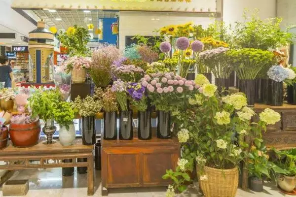 开花店怎么样，能赚钱吗？插图2