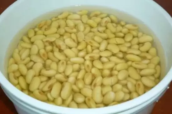 豆腐水可以浇花吗插图1