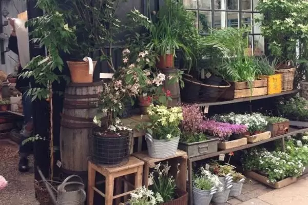 开花店怎么样，能赚钱吗？插图1