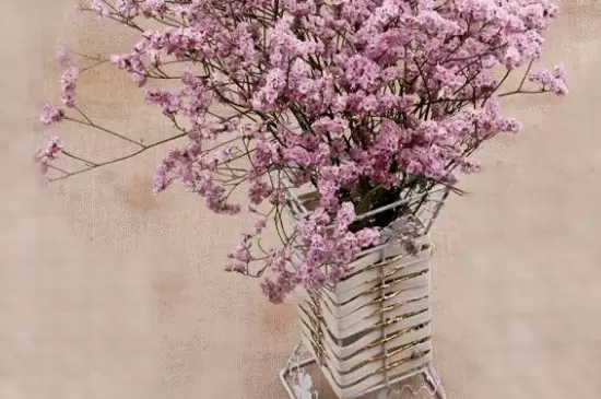 干花要风干多久插图3