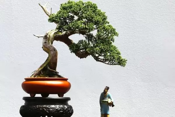 过年卖什么挣钱，根据市场行情选择项目插图1