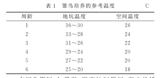 广大鸵鸟养殖户即将用到的雏鸵鸟的管理技术插图1