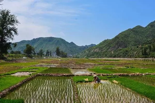 农村干什么行业能挣钱，项目多需选合适自己的插图2