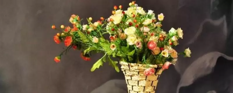 干花要风干多久插图