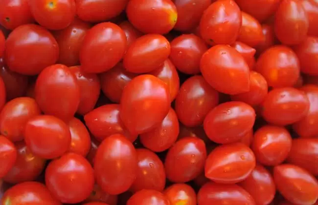 圣女果的功效与作用插图 圣女果的功效与作用插图